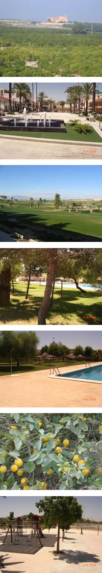 locatie.png