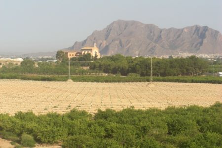 CIMG0040.jpg