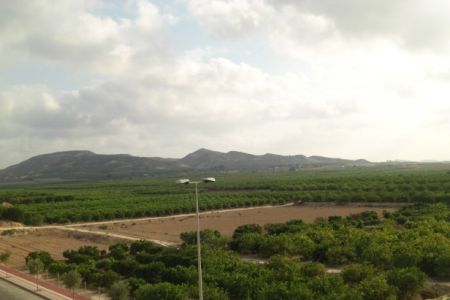 CIMG0545.jpg