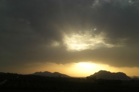 CIMG0455.jpg